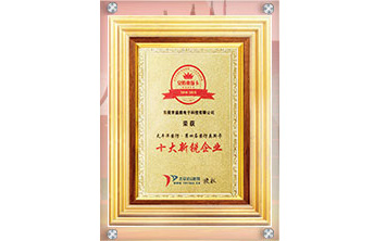 十大新銳企業(yè)